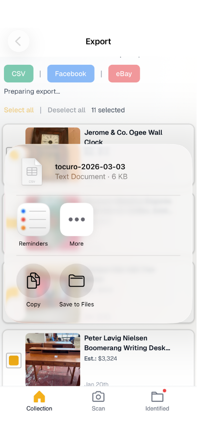 Export screen with file ready to share or download.